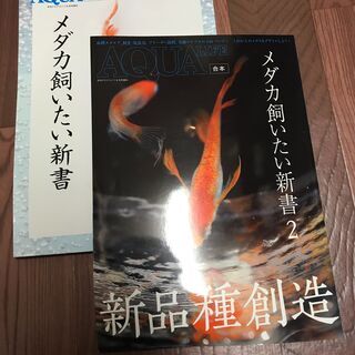 【値下げ】アクアライフ AQUALIFE メダカ飼いたい新書　２冊