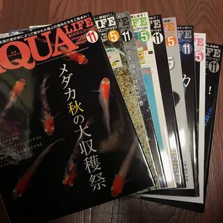 【最終値下げ】アクアライフ AQUALIFE　9冊　メダカ特集号