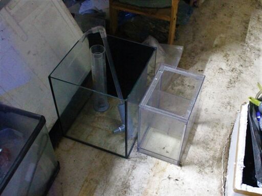 中古３０×３０×ｈ３６　ＯＦ水槽 　濾過槽付