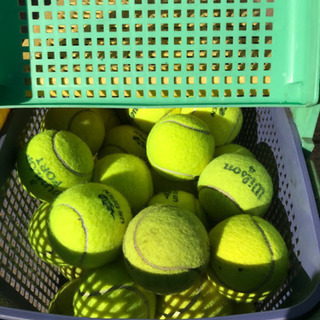 テニスボール使用品