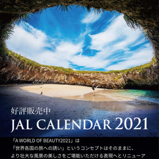 カレンダー　JAL  A World of beauty 2021