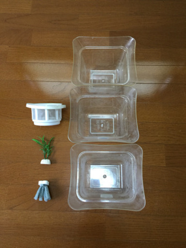 メダカ産卵セット Kazuwei 六会日大前のその他の中古あげます 譲ります ジモティーで不用品の処分 メダカ産卵セット Kazuwei 六会日大前のその他の中古あげます 譲ります ジモティーで不用品の処分