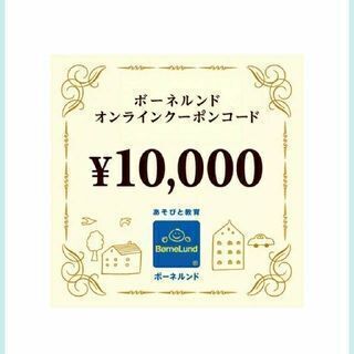 【ネット決済・配送可】11,000円分　ボーネルンド　オンライン...
