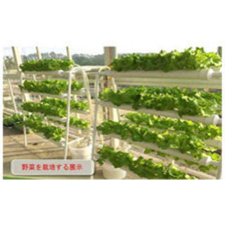 水耕栽培キット 土不要 プランター 野菜 室内 庭園栽培器 スポンジ かご鉢 ポンプ付き 8パイプ 花瓶 ガーデン ベース Oningco 南安城の家庭用品 ガーデニング の中古あげます 譲ります ジモティーで不用品の処分 水耕栽培キット 土不要 プランター 野菜 室内 庭園栽培器 スポンジ かご鉢 ポンプ付き 8パイプ 花瓶 ガーデン ベース Oningco 南安城の家庭用品 ガーデニング の中古あげます 譲ります ジモティーで不用品の処分