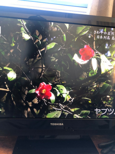 再掲載　東芝 32V型 液晶 テレビ 32BC3 ハイビジョン 2011年モデル