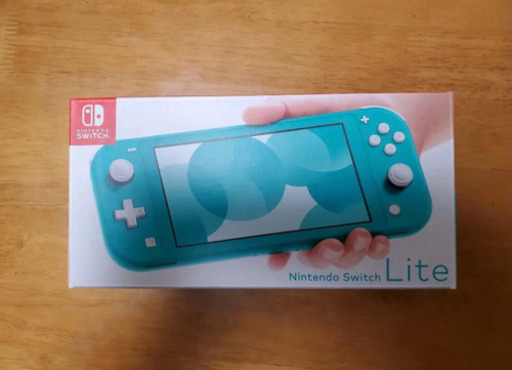 その他 Nintendo Switch light