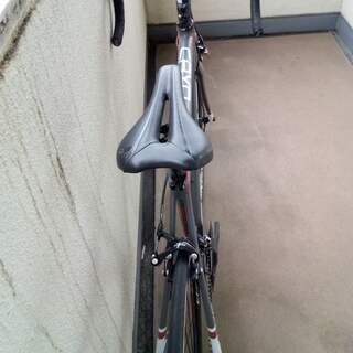 FOCUS CAYO AL 2016 Sサイズ52cm 105