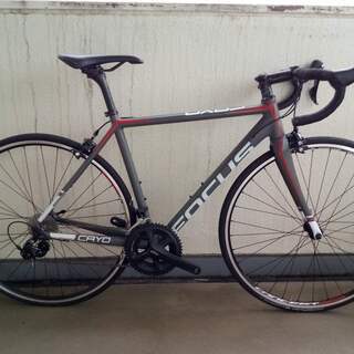 FOCUS CAYO AL 2016 Sサイズ52cm 105 FOCUS CAYO AL 2016 Sサイズ52cm 105