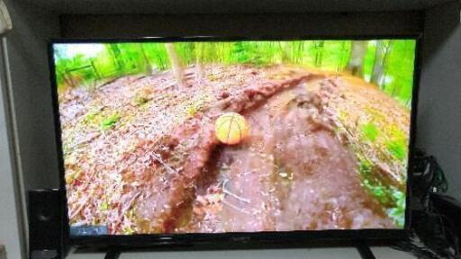【決まりました】アイリスオーヤマ40型テレビ