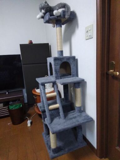 猫キャットタワー