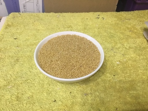 けんぼの森 小鳥のえさ あわ玉 500g 300円 税込 1kg 500円 税込 けんぼっ 下溝のペットショップの無料広告 無料掲載の掲示板 ジモティー