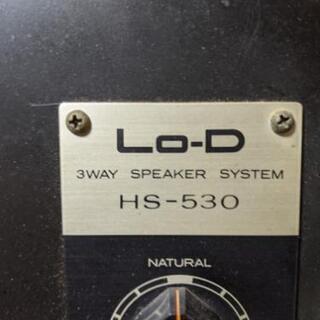 【ネット決済】LO-D　HS-530　オールメタルスピーカー
