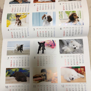 2021ソニーライフカレンダー　ゆかいな子犬たち