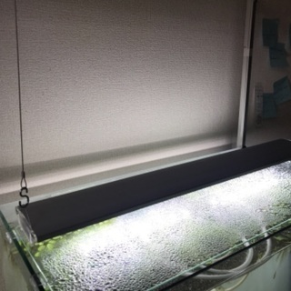 GEX CLEAR LED 4 600