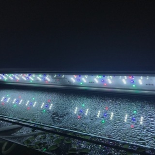 GEX CLEAR LED 4 600