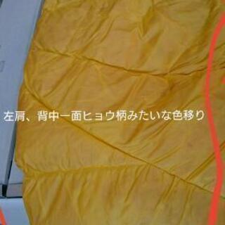 ドマンセマン スキーウェア
