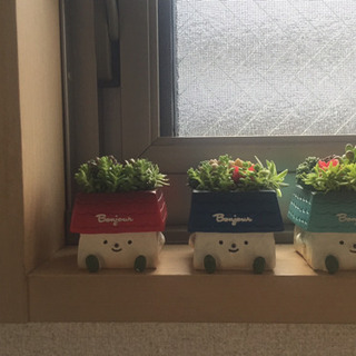 多肉植物寄せ植え 小さな庭 ひゅう 大師前の家庭用品 ガーデニング の中古あげます 譲ります ジモティーで不用品の処分 多肉植物寄せ植え 小さな庭 ひゅう 大師前の家庭用品 ガーデニング の中古あげます 譲ります ジモティーで不用品の処分