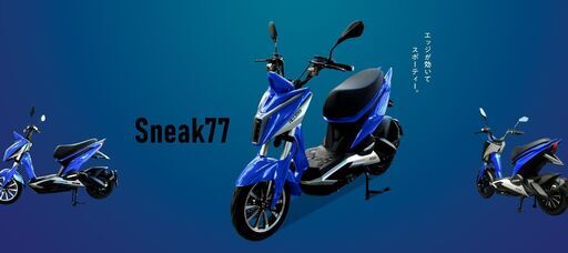 電池スクーター　スニーク77　充電式　（１人用・２人用）スニーク77-2