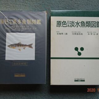 原色日本淡水魚類図鑑　HOIKUSHA