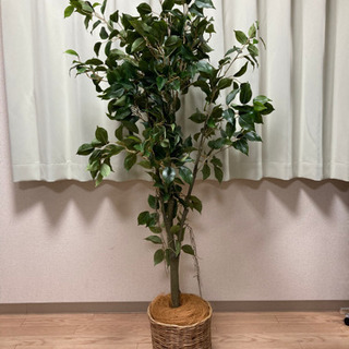 ベンジャミン　¥3500 人工観葉植物 フェイクグリーン 高さ1...