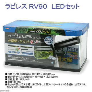 ラピレス　RV90 LEDセット（バラ売り可能）