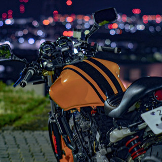 ホーネット250 カスタム | energysource.com.br