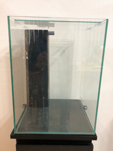 30cmキューブハイのオーバーフロー水槽と水槽台 Kei 幸手のその他の中古あげます 譲ります ジモティーで不用品の処分 30cmキューブハイのオーバーフロー水槽と水槽台 Kei 幸手のその他の中古あげます 譲ります ジモティーで不用品の処分