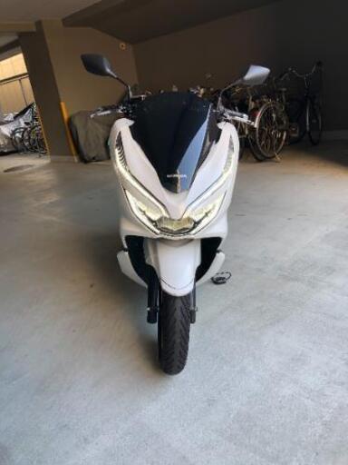 ホンダ　PCX125 JF81 現行美車