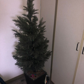 （季節外れの）クリスマスツリー