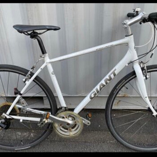 GIANT ESCARE　R3（ジャイアントエスケープ） Mサイズ