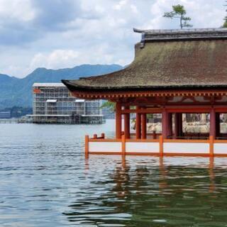 御朱印巡り　埼玉・東京の人の画像