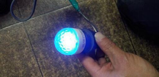 LED電球☆ブルー　E2701C-S 0.85W新品未開封144個セット販売