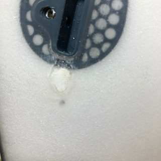 アルメリック　チャンネルアイランド　ニューフライヤー　サーフボード