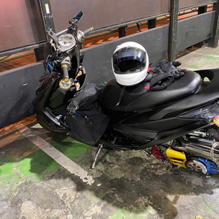 シグナス2型　ロンホイ　条件良ければ交換あり シグナス2型 ロンホイ 条件良ければ交換あり 【公式通販】