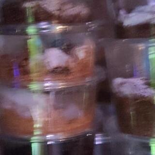 カブトムシ、クワガタまとめて！