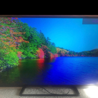 Panasonic TH-50C300液晶テレビ2015年製