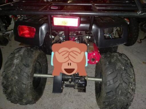 ICE BEAR 50cc ATV 4輪バギー
