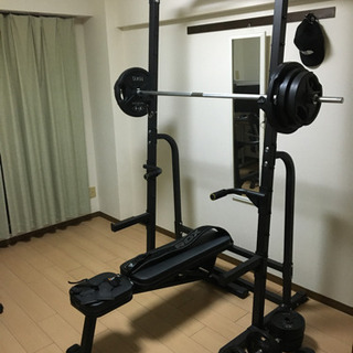 流行に ベンチプレス チンニングマシン ラット 【FIGHTING
