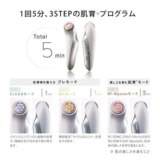 リファビューテックレイズ