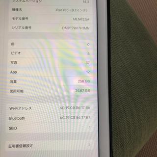 iPad  Pro 9.7 256G 中古品