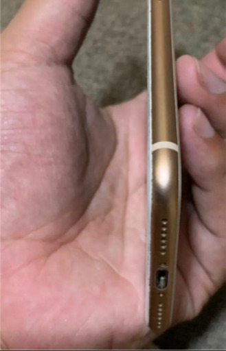 iPhone 8 Gold 256 GB SIMフリー | procomm.ca