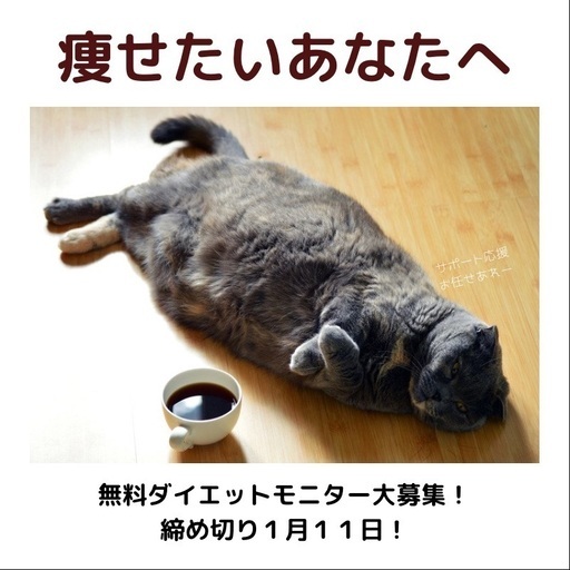 無料ダイエットモニター大募集 最先端の他ではできないダイエット法をプレゼント In熊本佐賀 みーみ 熊本 のセミナーのイベント参加者募集 無料掲載の掲示板 ジモティー