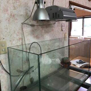 値下げ！手作り水槽 90cm 