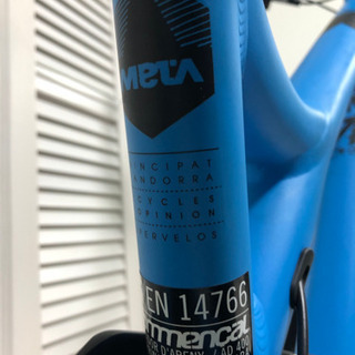 ⭐︎Commencal(コメンサル)META AM 29er Mサイズ⭐︎