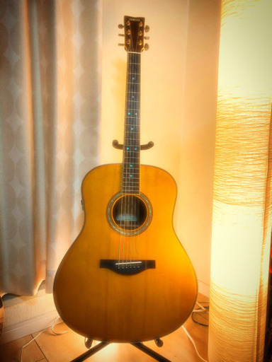 新品】YAMAHA LL TAトランスアコースティックギター (ノラ) 住道の楽器 