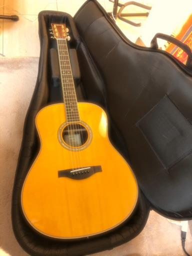 【新品】YAMAHA LL TAトランスアコースティックギター