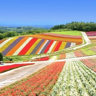 札幌の友達が欲しいですー！！