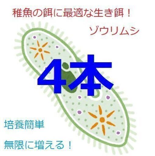 ゾウリムシ種水メダカグッピーベタ稚魚針子餌超濃縮タレビン 48ml 4本 Yamashun 新見のその他の中古あげます 譲ります ジモティーで不用品の処分 ゾウリムシ種水メダカグッピーベタ稚魚針子餌超濃縮タレビン 48ml 4本 Yamashun 新見のその他の中古あげます 譲ります ジモティーで不用品の処分