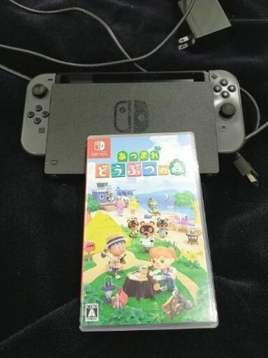Switch置き型本体とあつまれどうぶつの森パッケージ版 | alfasaac.com