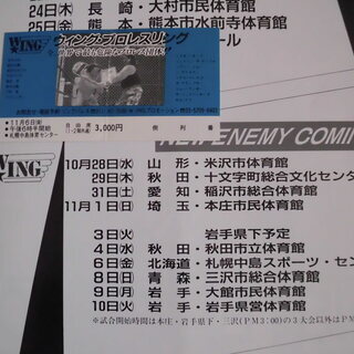 プロレス WING ポスター&サイン入りパンフほか